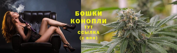 МДПВ Нефтегорск