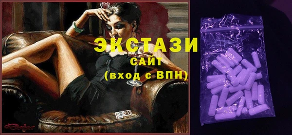 шишки Надым