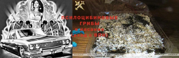МДПВ Нефтегорск