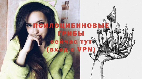 МДПВ Нефтегорск