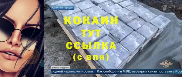МДПВ Нефтегорск