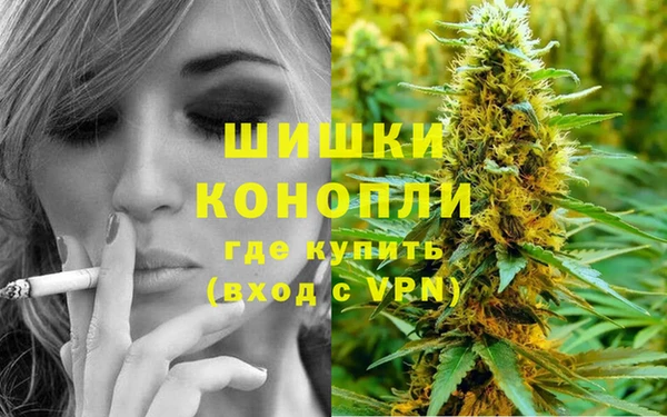 шишки Надым