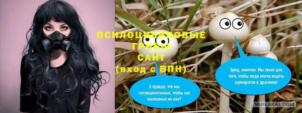 твердый Новокубанск