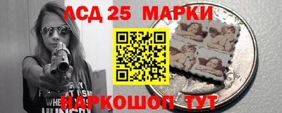 амф Гусев