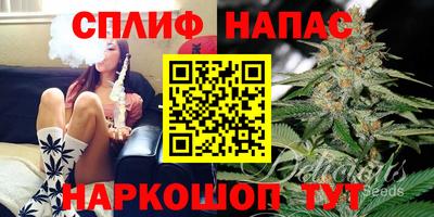 ECSTASY Балахна