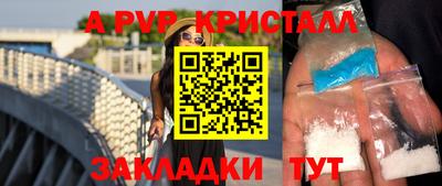 амф Гусев