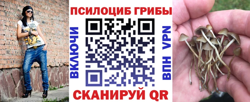 Псилоцибиновые грибы мицелий  Мегион 