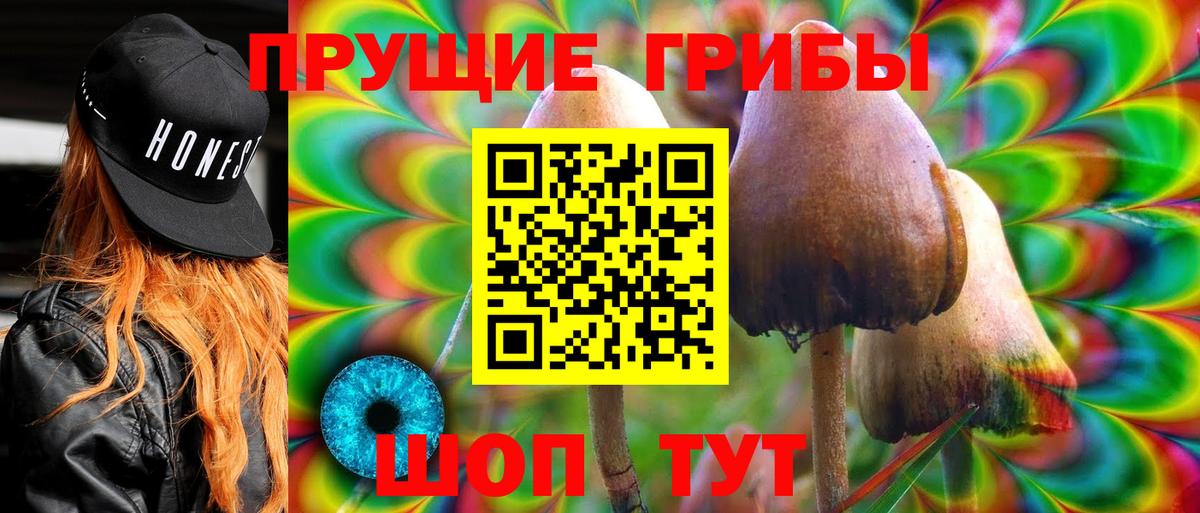 Мегион  Псилоцибиновые грибы ЛСД  Вход с VPN  Псилоцибиновые грибы Magic Shrooms 